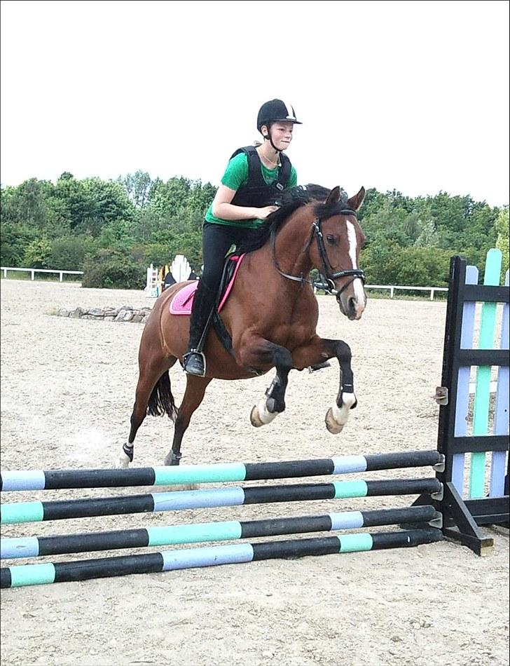 DSP Firhøjs Bjanca *mit'alt* - når jeg lukker mine øjne, ser jeg dine <3 billede 17