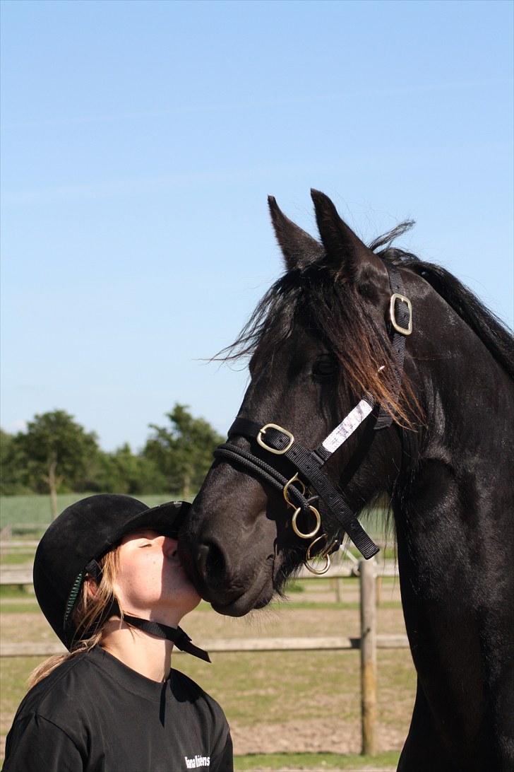 Frieser Chelly<3 billede 4