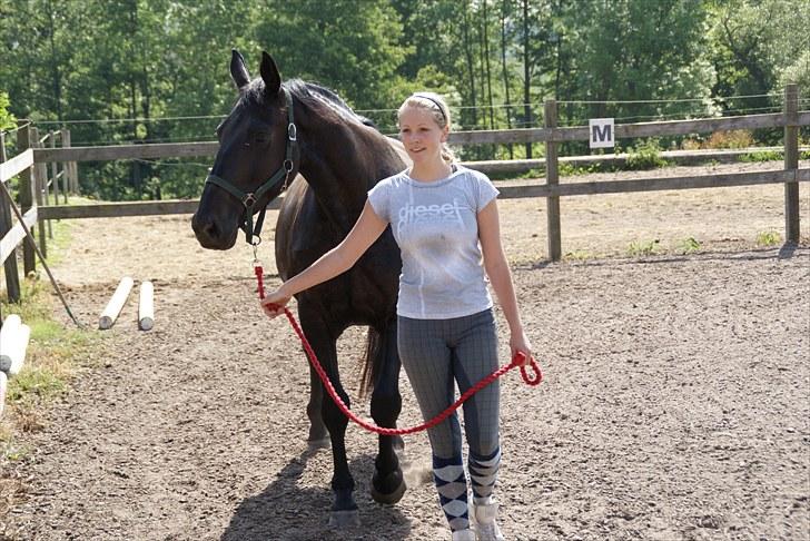 Anden særlig race Celia billede 5