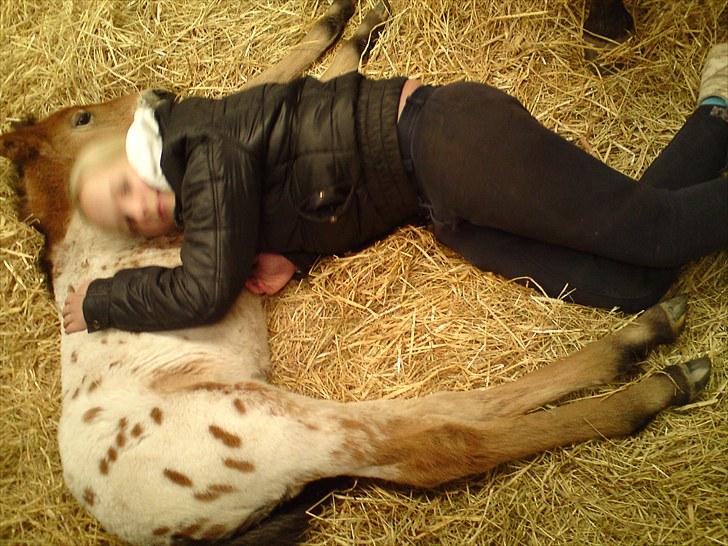 Anden særlig race Golden Simba Spot - Mig og Simba der ligger og sover i boksen:) billede 13