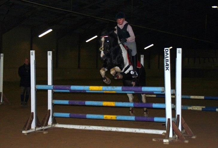 Anden særlig race Lady Di - ikke lige det bedste billede men har ikke så mange spring billeder. billede 10