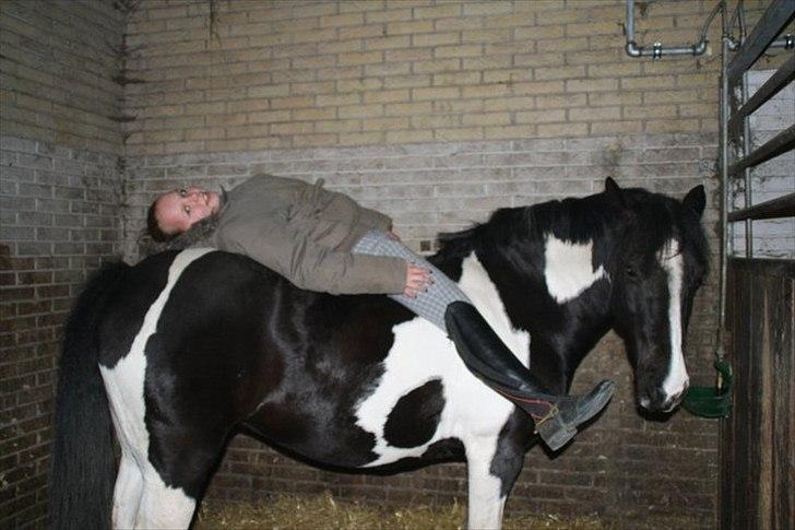 Anden særlig race Lady Di - hygge i boksen. billede 11