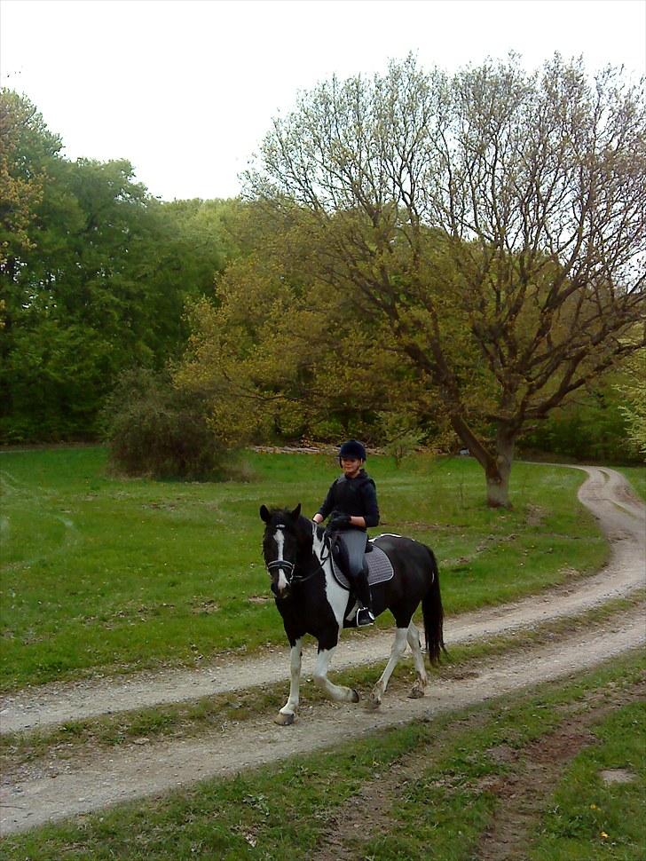 Anden særlig race Lady Di - Mig og Lady ved Marselisborg skov;) billede 12