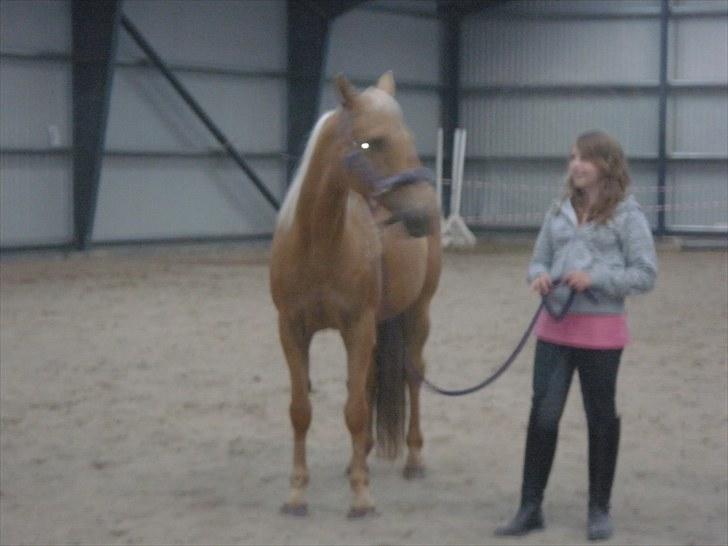 Cruzado Carbosa R.I.P miin elskede hest billede 9