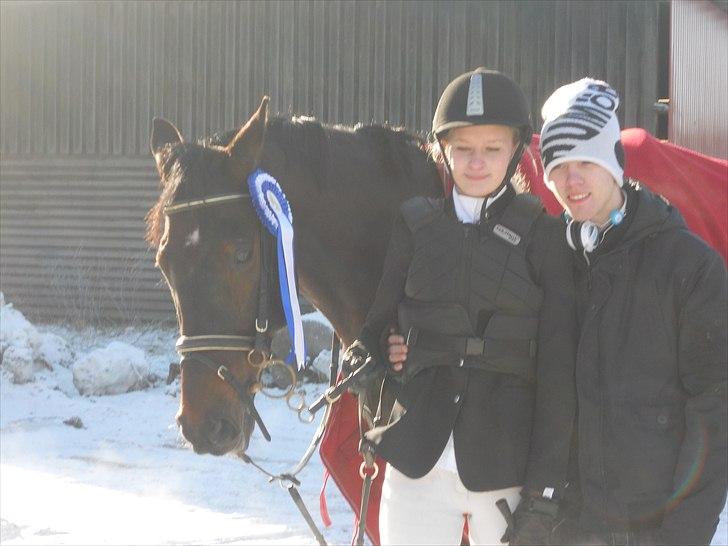 Holstener Hesteløkkens Chic billede 14