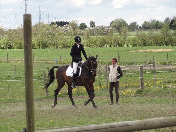 Holstener Hesteløkkens Chic - blev varmet grundigt op af Tanja Hestkjær ;) billede 18