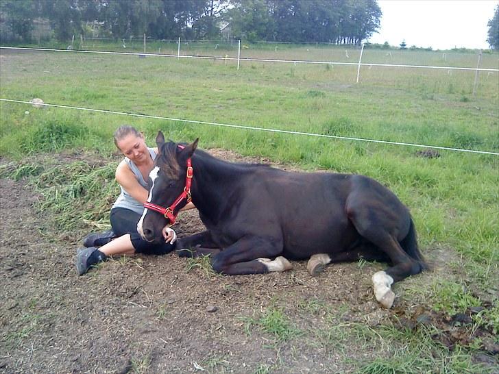 Anden særlig race Tayfun - Tayfun og jeg hygger på folden billede 4