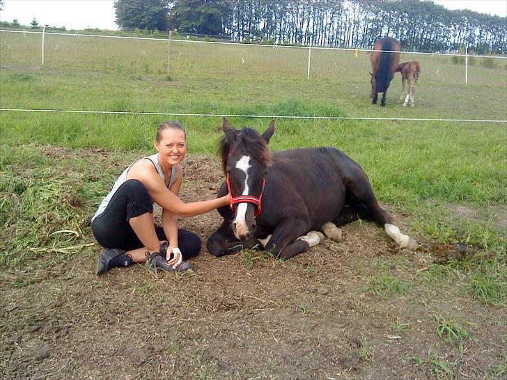 Anden særlig race Tayfun - Sommer-hygge billede 5