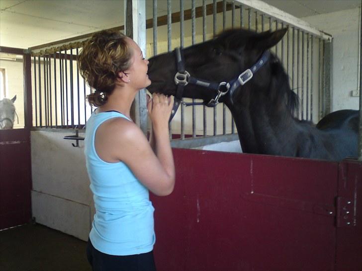 Anden særlig race Tayfun - Der kysses lige lidt i stalden :o) billede 6