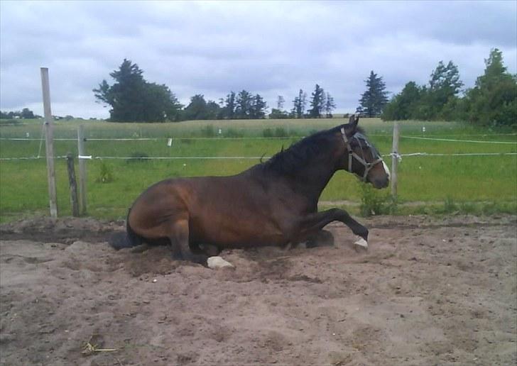 Oldenborg Lucas - lucas xD<3 billede 8