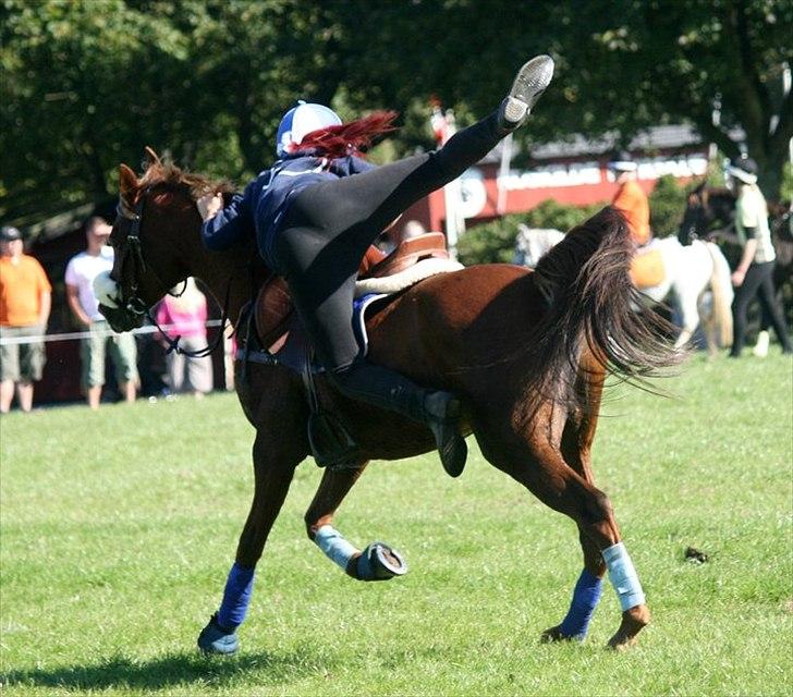 Anden særlig race Solo Girl  - Solo Girl <3 billede 1