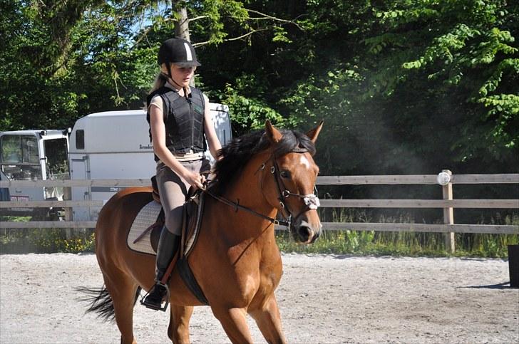 Anden særlig race zarahby <3 - <3 første springundervisning af Victor lica :) foto: kasper strøbæk  billede 1
