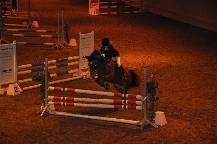 Anden særlig race zarahby <3 - LB- 5 plads :-) på FHSR den. 5 dec. billede 2