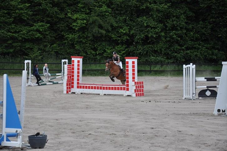 Anden særlig race zarahby <3 - første gang vi springer mur !!! hun var såå god til det stævne, fik 2 fine sløjfer  billede 3