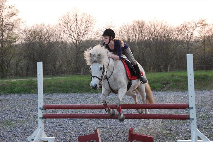 Islænder KRAFSA FRA RAVNEKROGEN |Skadet| - 15. Spring træning D, 19/4 2011 <3

„I will not look for someone perfect to love, instead someone who makes me feel perfectly loved.“ billede 15