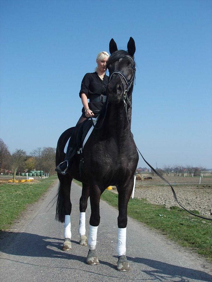 Dansk Varmblod Hacky Zack Firfod - Første gang på ryggen af svesken. Morten og Pixie fra stutteri Firfod mente godt man kunne ride med hæle og kjole ;o) billede 8