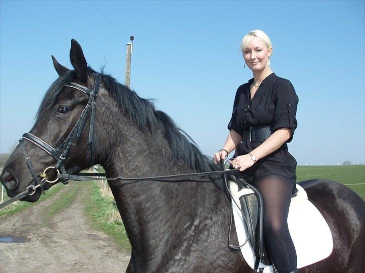 Dansk Varmblod Hacky Zack Firfod billede 10