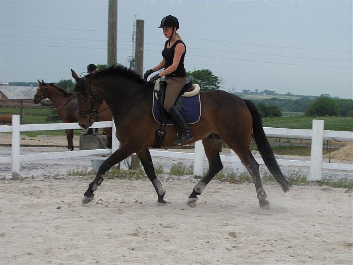 Oldenborg Harely Søndergård <3 Solgt billede 3