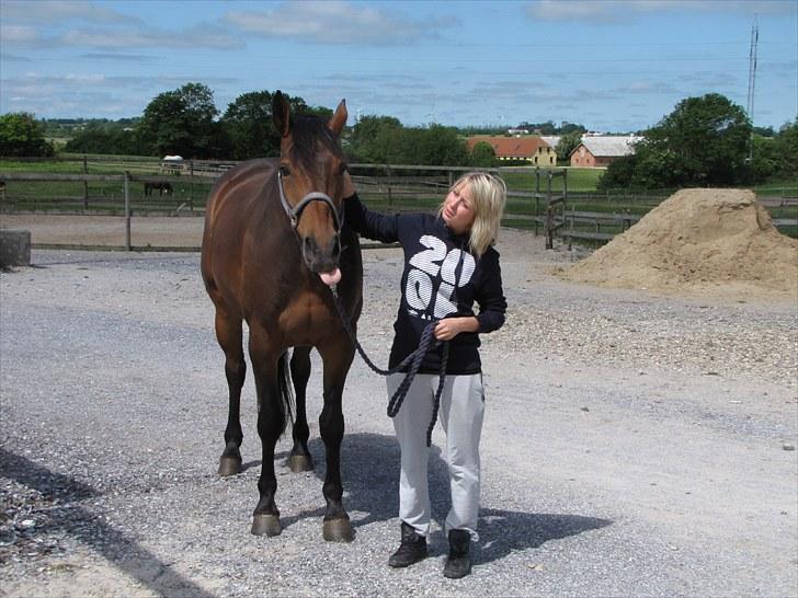 Oldenborg Harely Søndergård <3 Solgt - en glad hest jeg lige har fået hjem :) billede 8