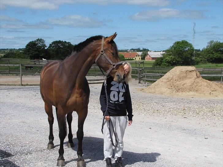 Oldenborg Harely Søndergård <3 Solgt - da min skønhed lige var kommet :) <3 billede 9