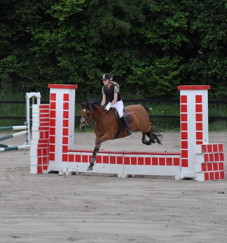 Anden særlig race zarahby <3 - første gang vi springer mur !! hun var super sød :D billede 4