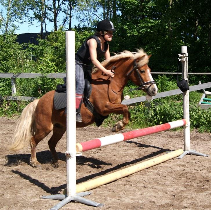 Anden særlig race Sasha DEN SAVNEDE<3 billede 17