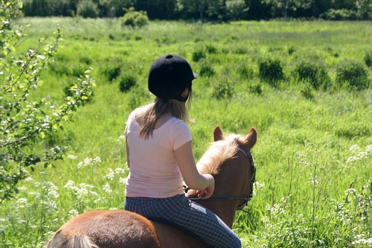 Anden særlig race Sasha DEN SAVNEDE<3 billede 18