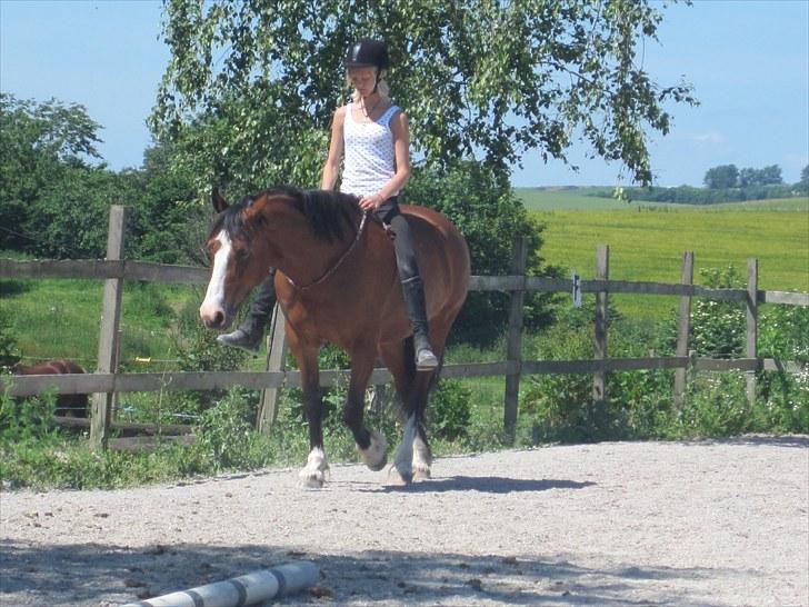 Welsh Cob (sec D) Merlyn Desert Pearl R.I.P  - jeg stoler på dig 110%.. jeg vil altid være der til at få dit smil frem til at tørre dine tårre væk og til at vise dig egte kærlighed... <3 billede 9