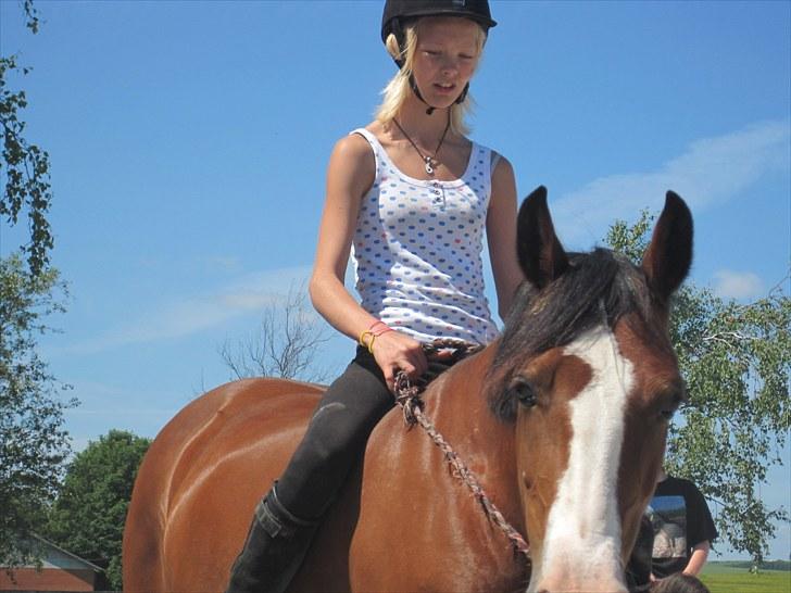 Welsh Cob (sec D) Merlyn Desert Pearl R.I.P  - I know you´r iun heaven smiling down.. Even you´r gone we´r still a team... :´) What a bond to break hvat a life to take... when this life is over i know i will se your face <33 :´) billede 11