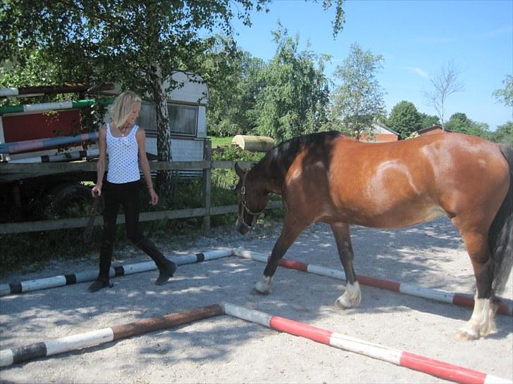 Welsh Cob (sec D) Merlyn Desert Pearl R.I.P  - You follow me i follow you, to the end of the world <3 billede 13