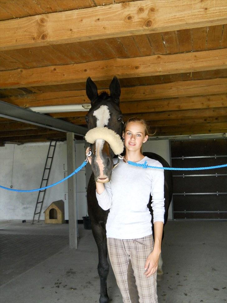 Dansk Varmblod | Campari - 11. På staldgangen ;D billede 11