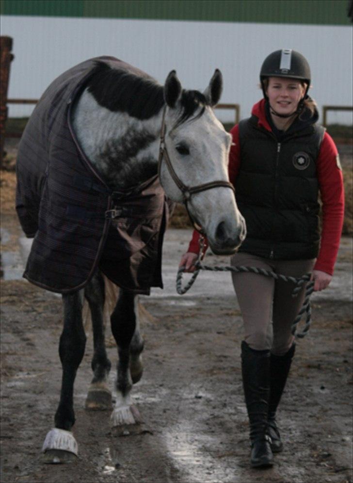Dansk Varmblod Carneval Fever - :) Foto: Sisse billede 5