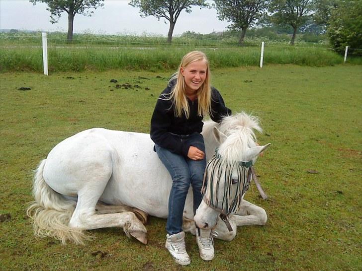 Anden særlig race Rapa Nui<3 "kommet hjem" - Mig og Rapa nui Hygger på folden:D  billede 15