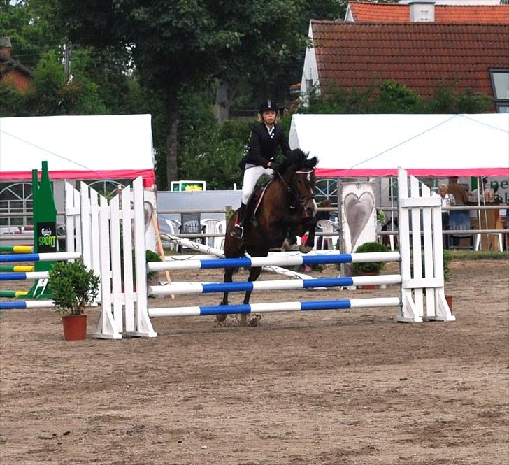 New Forest Margo<3 - mig og margo til stævne på KAR lc(:´  billede 7