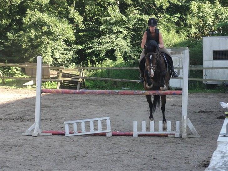 New Forest Margo<3 - min lille hoppebold ;* billede 13