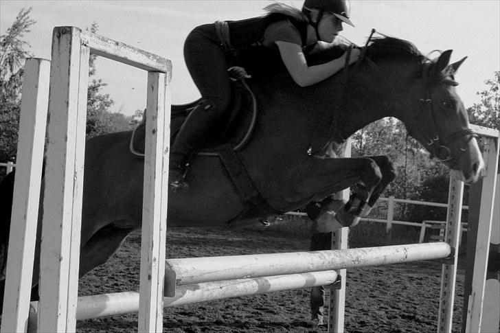 Hollandsk Sportspony  ANNIE | SOLGT :'( - tættere på himlen .. L) billede 14