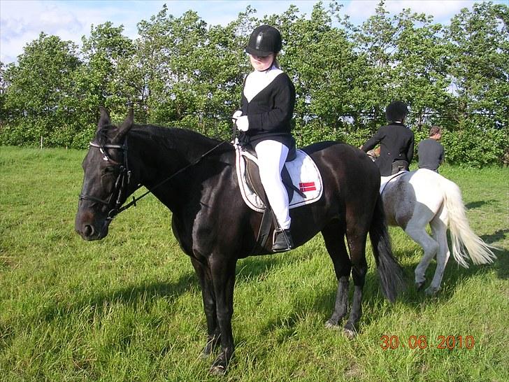 Anden særlig race Shikira "Leveret tilbage" billede 19