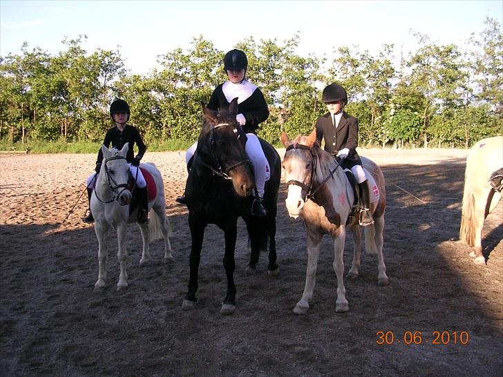 Anden særlig race Shikira "Leveret tilbage" billede 20