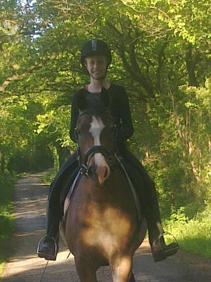 Anden særlig race Kasper (rider) - skovtur (: billede 2