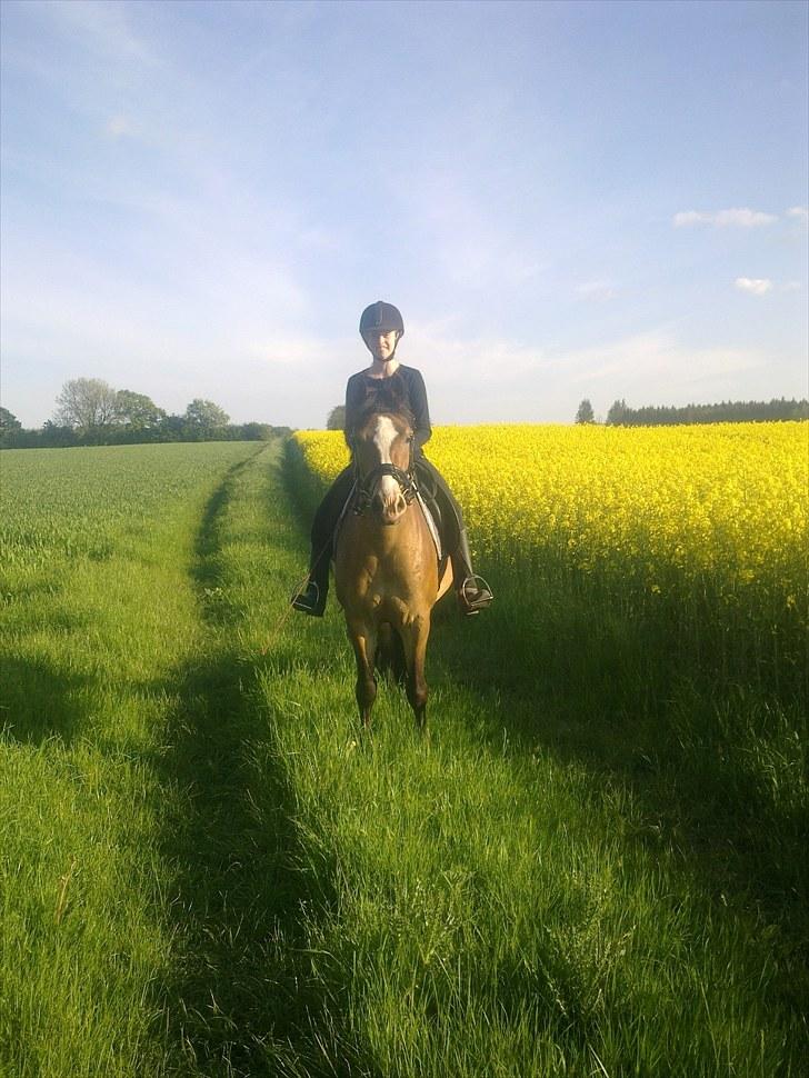 Anden særlig race Kasper (rider) - skovtur (: billede 4