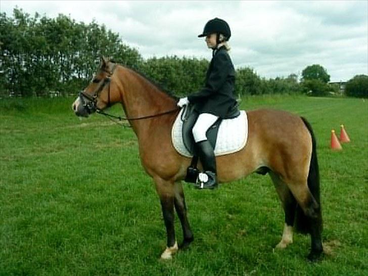 Anden særlig race Kasper (rider) - Det var til stævne i ROOR (: billede 9