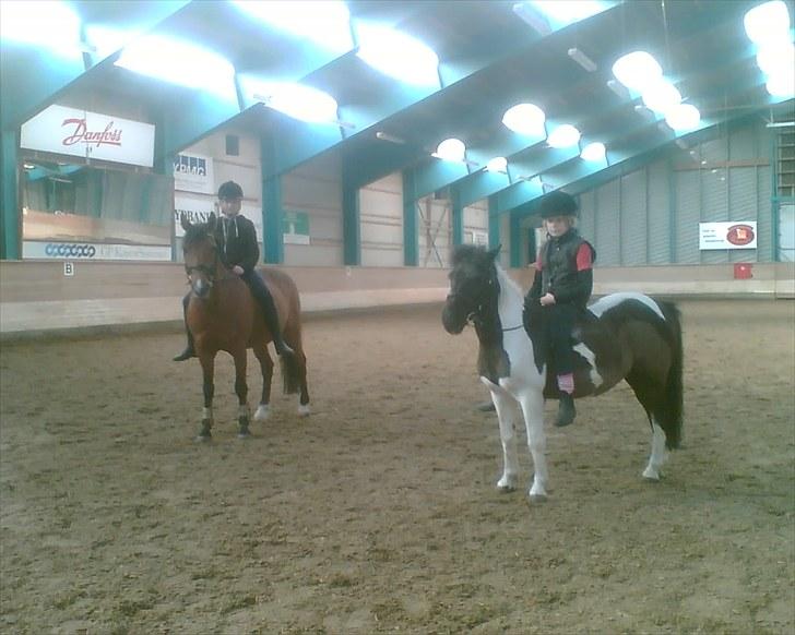 Anden særlig race Mille-en dejlig hoppe:-) - Mille og Michelangelo billede 2