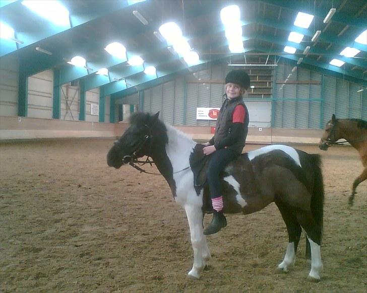 Anden særlig race Mille-en dejlig hoppe:-) - Mille og min lillesøster billede 1