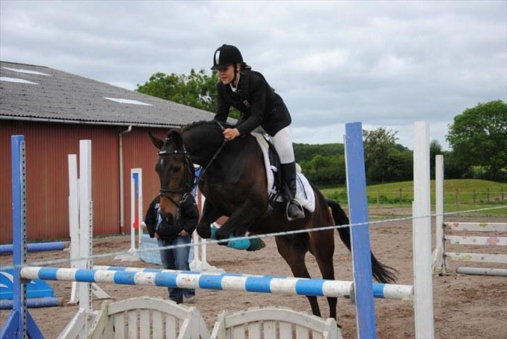 Anden særlig race Nalot - Voltespring i MFR juni 2010 - det blev til en 2. plads :) - foto: line kellner billede 12