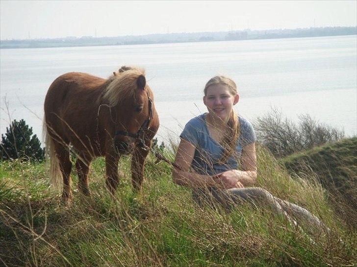 Miniature Minimøjsen Minor <33 - Hygge i Grusgraven - forår 2011  billede 5