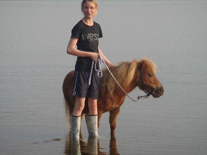 Miniature Minimøjsen Minor <33 - I vandt forførste gang med Signe :D  billede 10