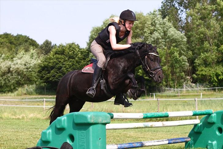 Dartmoor Feldholm's Doughty - 2. juli 2010 - Her springer Doughty 65 cm med Rebekka i sadlen billede 11