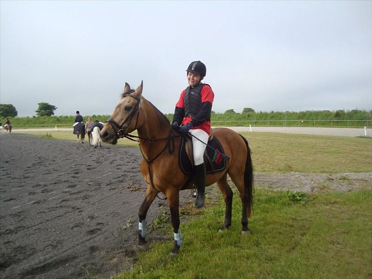 Connemara E Alouette Klubmester' 10 - Alouette og jeg på Vilhelmsborg :) billede 12