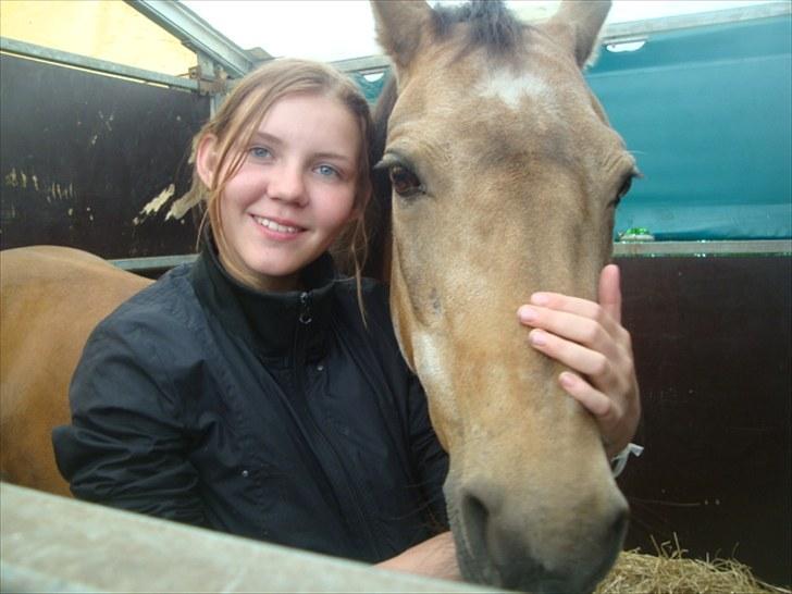 Connemara E Alouette Klubmester' 10 - Alouette og på Vilhelmsborg, hygge i boksen<3 :D billede 13