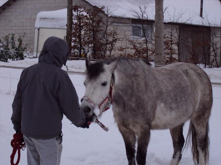 Anden særlig race Askepot  billede 20
